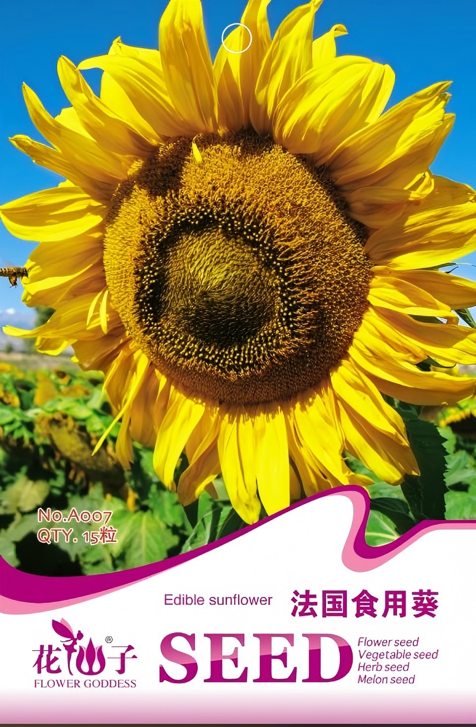ʳÿ